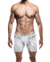 Load image into Gallery viewer, Male Basics Spider Hipster Boxer Brief White/black