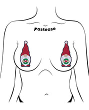 Load image into Gallery viewer, Pastease Holiday Wreath Garden Gnome - Multi O/S