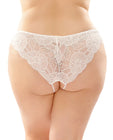 Floral Lace Panty