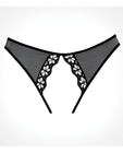 Adore Mirabelle Plum Panty Black O-s