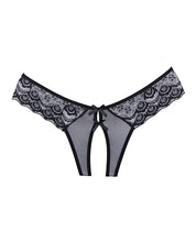 Load image into Gallery viewer, Adore Foreplay Lace &amp; Mesh Front Open Panty Black O-s